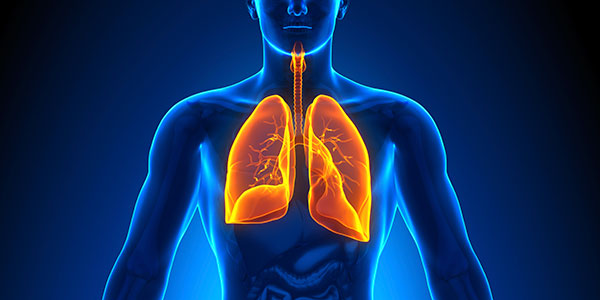 Lung Cancer Screening Lung Cancer Screening
