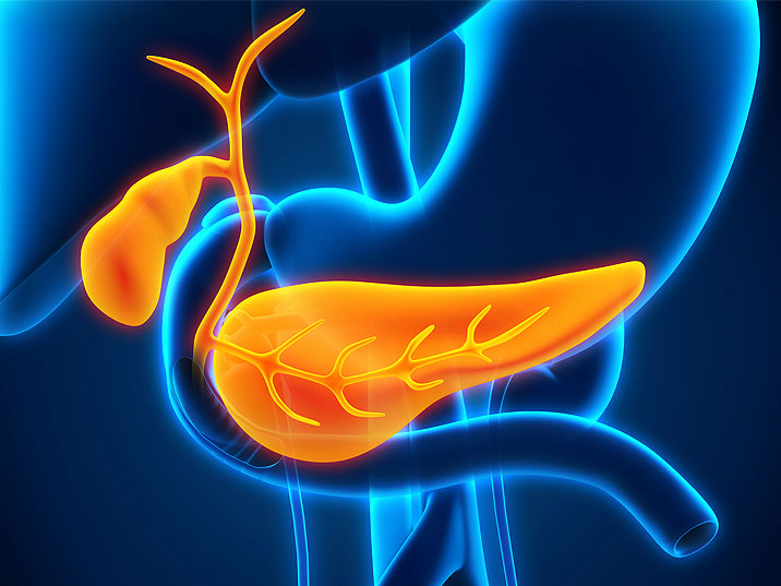 ERCP Nedir ve Nasıl Uygulanır ? ERCP Nedir ve Nasıl Uygulanır ?