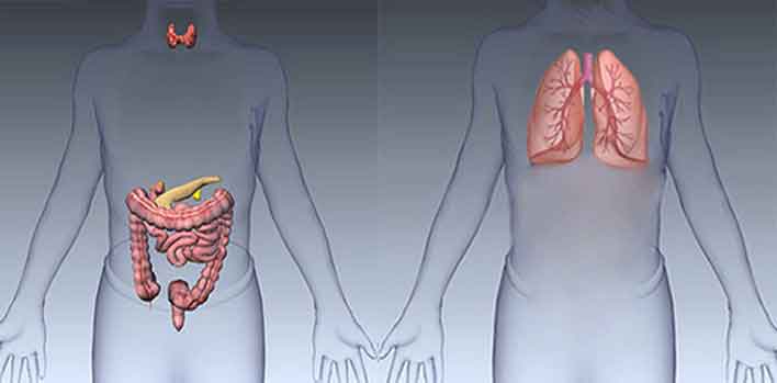 Ga 68 Dotate PET imaging in Neuroendocrine Cancer