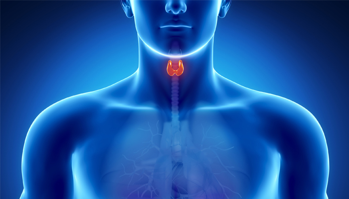 Tiroid Nedir ve Nasıl Tedavi Edilir?